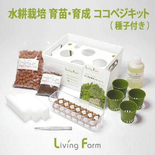 ロメインレタス 水耕栽培 育苗 育成ココベジキット 種子付き 水耕栽培ショップ リビングファーム ロメインレタス 水耕栽培 育苗 育成ココベジキット 種子付き 水耕栽培ショップ リビングファーム