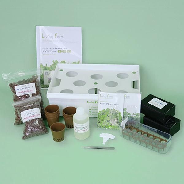 リーフレタス (マザーグリーン) など2種類のタネ付き 水耕栽培 育苗