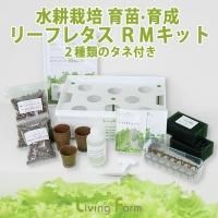 水耕栽培で苗作りから育成｜リーフレタス等の 野菜やハーブの水