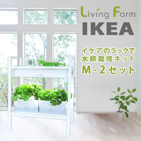 イケアのラックに水耕栽培 | リビングファーム イケアのラックで