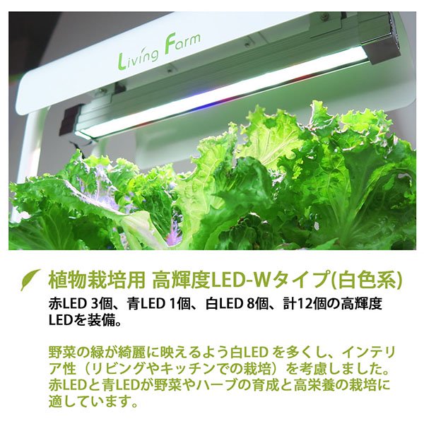 植物栽培用 白色系 高輝度LED360W 100V仕様