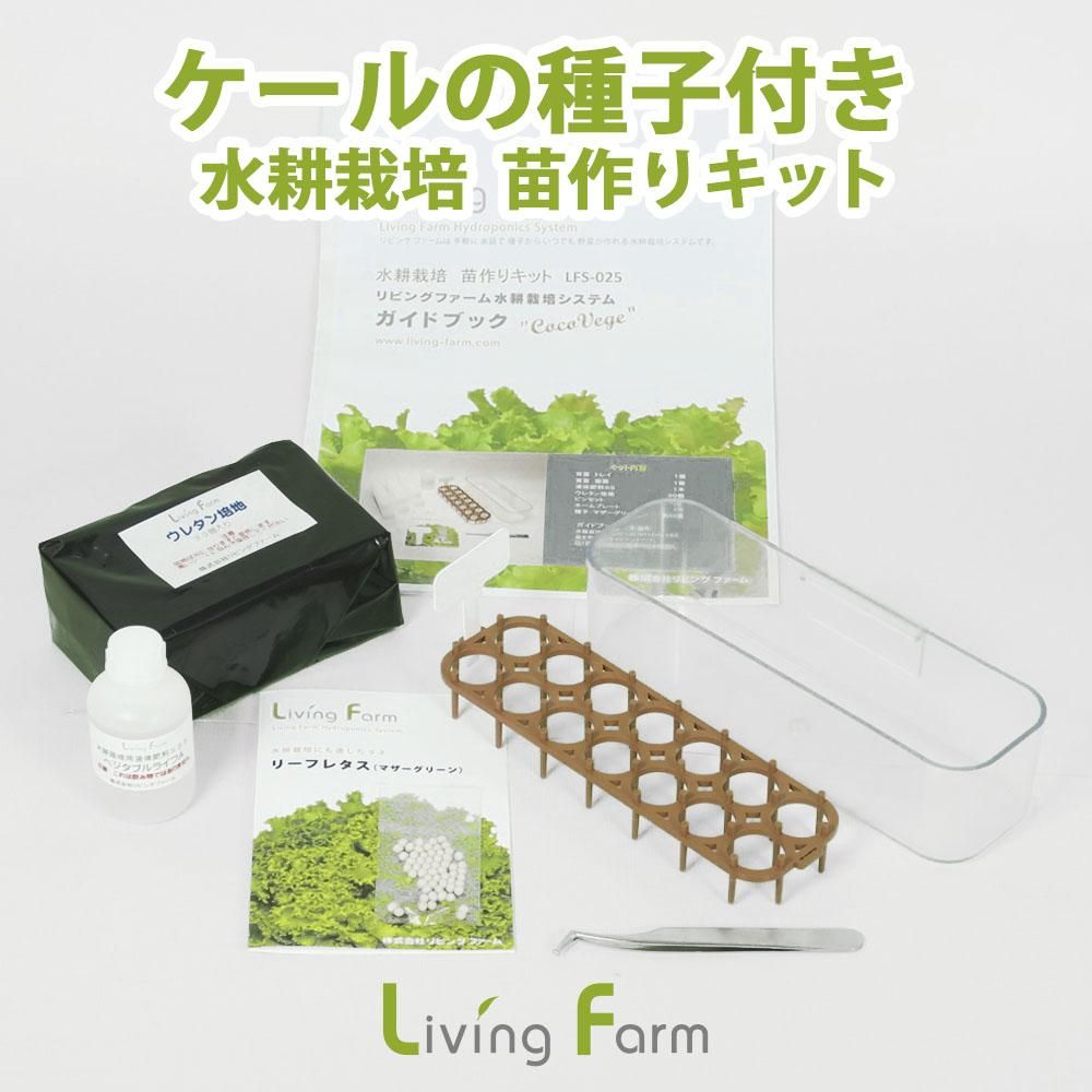 ケール 水耕栽培 苗作りキット 種子付き 水耕栽培ショップ リビングファーム ケール 水耕栽培 苗作りキット 種子付き 水耕栽培ショップ リビングファーム