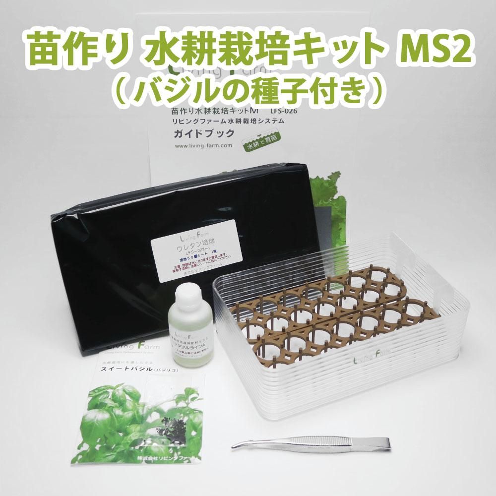 苗作り 水耕栽培キット Ms2 バジル種子付き 水耕栽培ショップ リビングファーム 苗作り 水耕栽培キット Ms2 バジル種子付き 水耕栽培ショップ リビングファーム