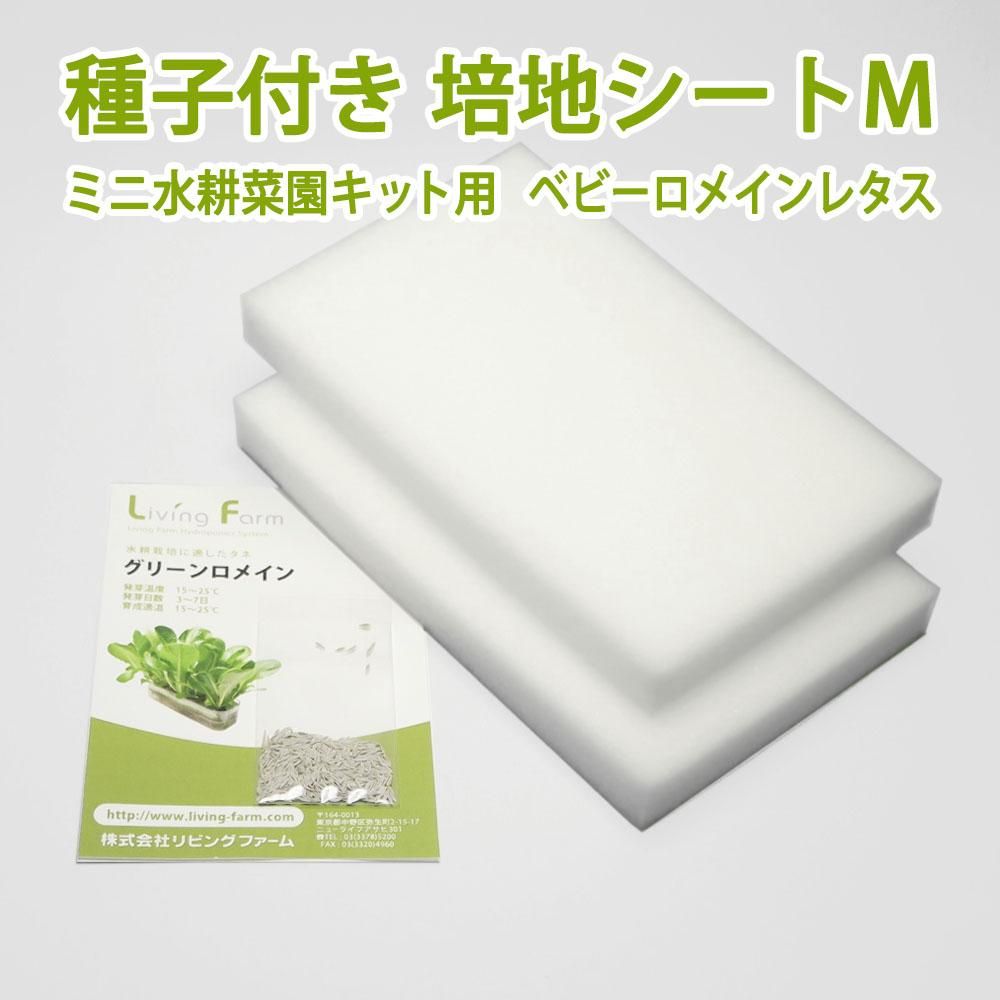 ベビーロメインレタスの水耕栽培キット ベビーロメインレタス 種付き培地シートm ミニ水耕菜園キット 追加栽培用 ベビーロメインレタスの水耕栽培キット ベビーロメインレタス 種付き培地シートm ミニ水耕菜園キット 追加栽培用