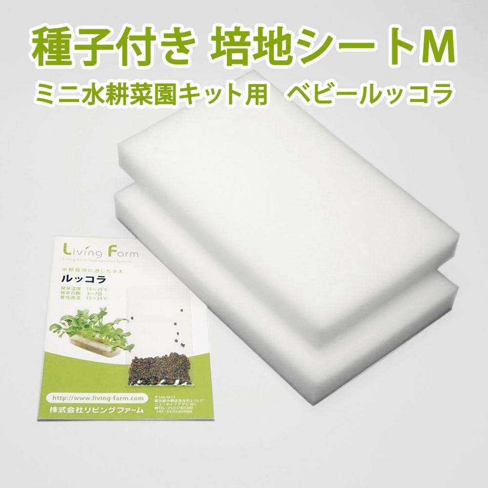 ベビールッコラの水耕栽培キット ベビールッコラ 種付き培地シートm ミニ水耕菜園キット 追加栽培用 ベビールッコラの水耕栽培キット ベビールッコラ 種付き培地シートm ミニ水耕菜園キット 追加栽培用