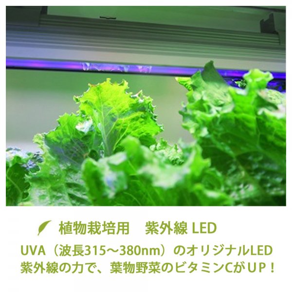 リビングファーム 植物栽培用 赤青色LED 高輝度LED360R 水耕栽培 野菜 植物 LED 育苗育成ライト LFS-110 - 3