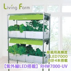 水耕栽培器 (LED付き)｜リーフレタス等の 野菜やハーブの水耕栽培