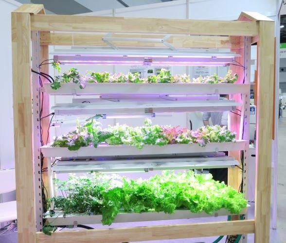 新品の水耕栽培機　引き取り限定 リビングファーム 流水型水耕栽培器 | 流水式水耕栽培機 野菜テラス FL