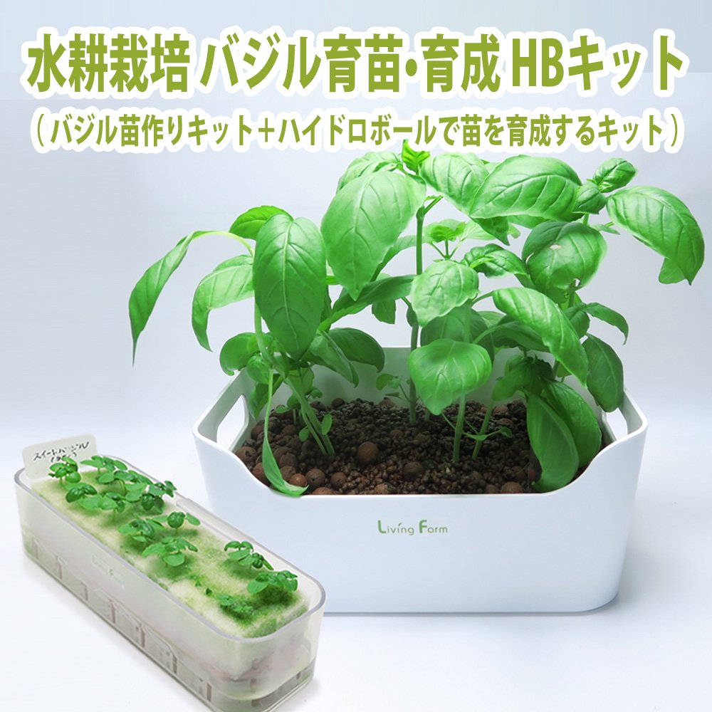 土を使わないはじめての野菜づくり かんたん!水耕栽培