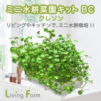 初めての水耕栽培キット｜リーフレタス等の 野菜やハーブの水耕栽培