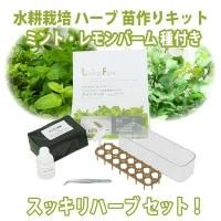 水耕栽培でハーブの苗作りから育成 リーフレタス等の 野菜やハーブの水耕栽培キット通販 リビングファーム