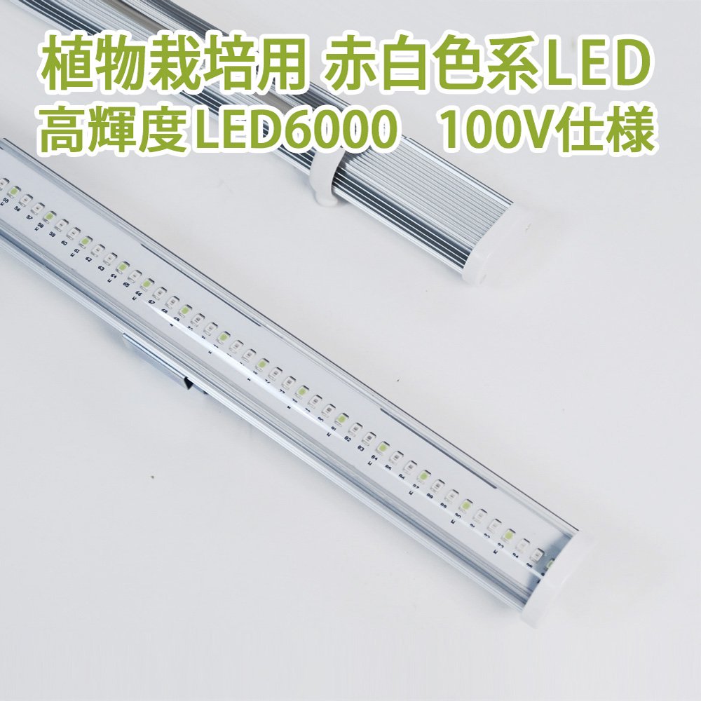 新発売】植物栽培用 白赤系 高輝度LED6000 100V仕様