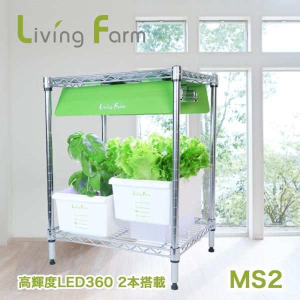 Amazon | すいこう栽培キット 水耕栽培 タワー 水耕栽培 ポット 水耕栽培植物用 無土壌栽培 セット 自動水循環システム搭載  水耕栽培野菜/果物/ハーブ/花など 家庭菜園 室内 アウトドア ベランダ 庭 水耕栽培タワー成長システム 室内 水耕栽培セット 垂直栽培 