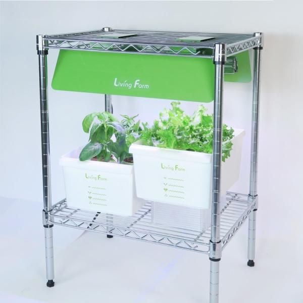 本格野菜を育てる水耕栽培キット | 【オンラインサブスク】『水耕栽培