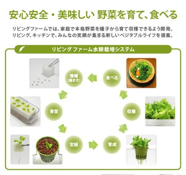 ✏おいしい野菜研究室✏ Amazon.co.jp: ZIRAIFEN 野菜栽培セット 水耕栽培キット 室内用