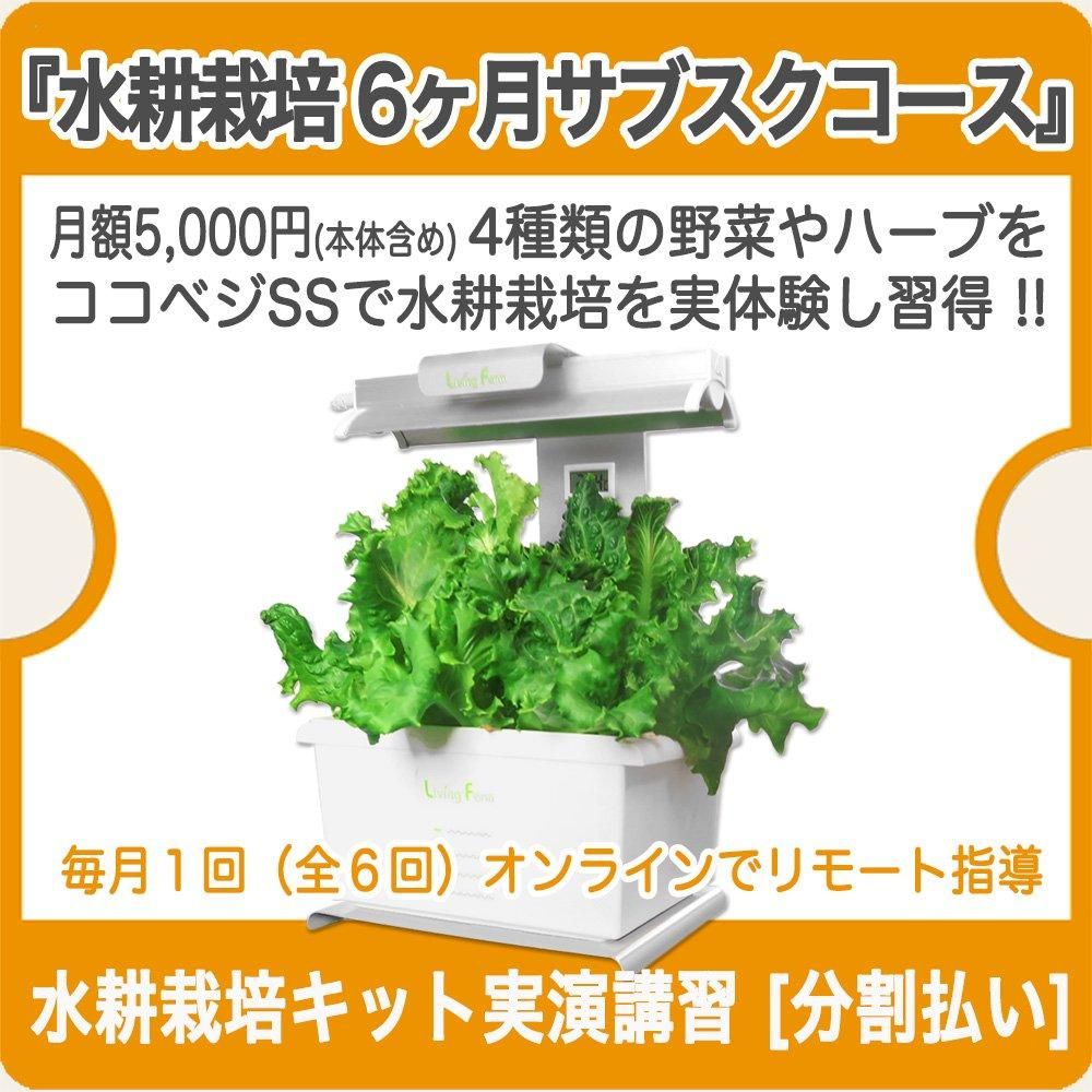 室内栽培水耕栽培ココ土耕 Voodoo Juice 4L レタス バジルの水耕栽培キット | 水耕栽培器 ココベジtnワイド