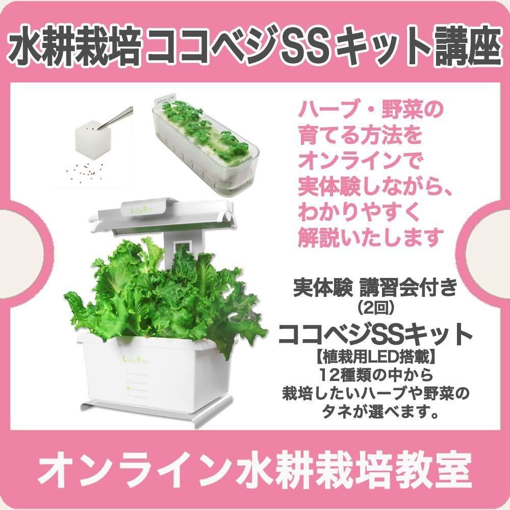 オンライン水耕栽培教室 | ココベジSSキット - 水耕栽培専門のリビング