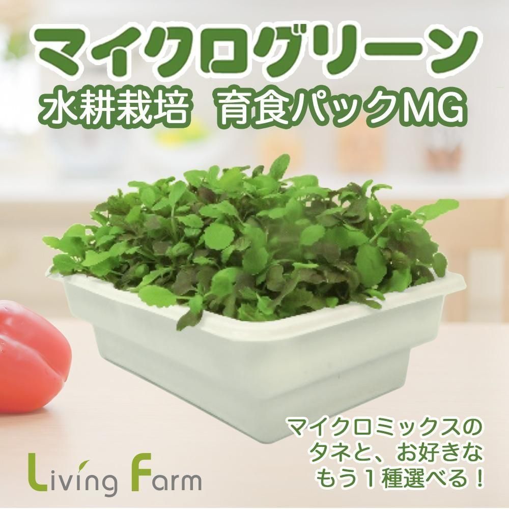 ڿȯ ޥ꡼ ̺ 鿩ѥåMG 2դ ʥޥߥåȤʥͤȹ礻٤롪