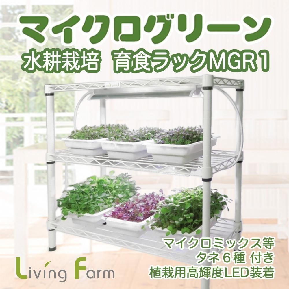 ڿȯ ޥ꡼ ̺ 鿩åMGR1 ͣդ ʥޥߥåΥ͡ ѹ⵱LED2 6ѥåƱå