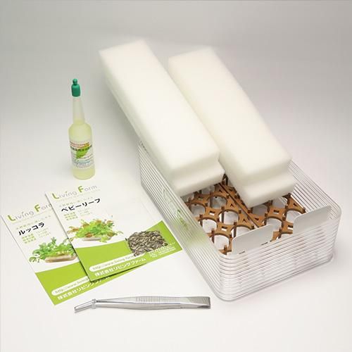 ベビーレタス・ミックス ベビールッコラの水耕栽培キット | ミニ水耕