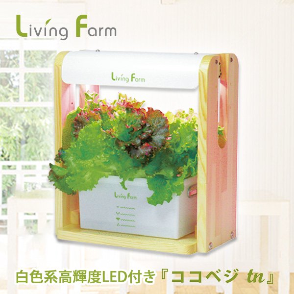 株式会社CRESCE Living Farm 植物栽培用LED 水耕栽培器 天板 2枚（P