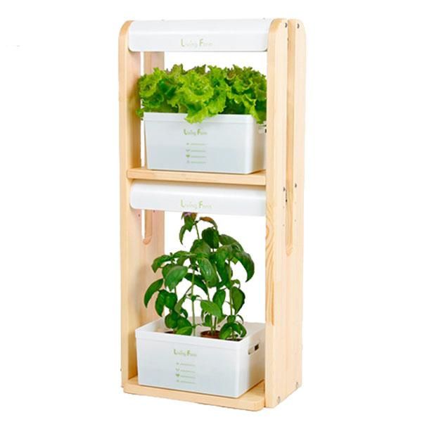 85592316_o1.jpg?cmsp_timestamp