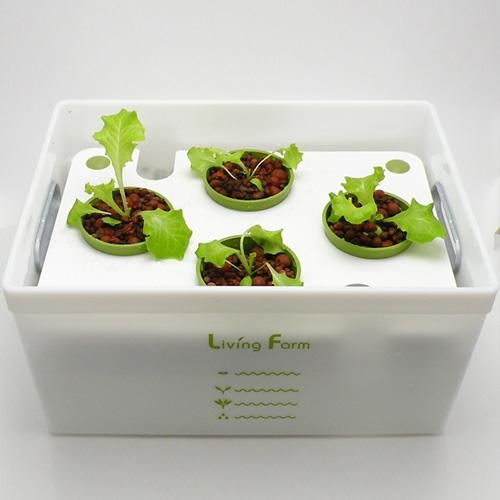 室内栽培水耕栽培ココ土耕 RhinoSkin 室内栽培水耕栽培ココ土耕 RhinoSkin 室内栽培水耕栽培ココ土耕 RhinoSkin