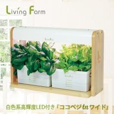 ココベジ シリーズ｜リーフレタス等の 野菜やハーブの水耕栽培キット