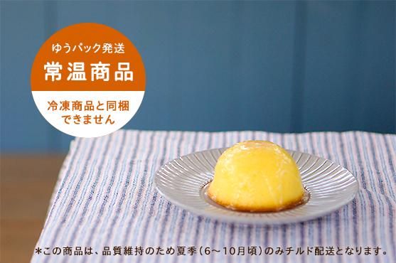 ヒラミーレモンケーキ 10個入り ヒラミーレモンケーキ プチギフト 内祝い 贈り物に 沖縄のフルーツタルト専門店 オハコルテ の焼き菓子専門ショップ ヒラミーレモンケーキ 10個入り ヒラミーレモンケーキ プチギフト 内祝い 贈り物に 沖縄のフルーツタルト専門店 オハコルテ の焼き菓子専門ショップ
