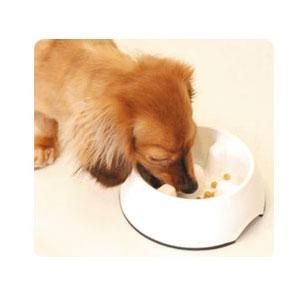 早食い防止皿 ゆっくり食べれる食器 Alcuore アルクオレ 早食い防止皿 ゆっくり食べれる食器 Alcuore アルクオレ