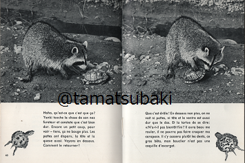 アライグマの写真絵本 Yanki Le Joyeux Raton Laveur 旅する本屋 古書玉椿 国内外の手芸関連の古本と新刊の専門店 アライグマの写真絵本 Yanki Le Joyeux Raton Laveur 旅する本屋 古書玉椿 国内外の手芸関連の古本と新刊の専門店