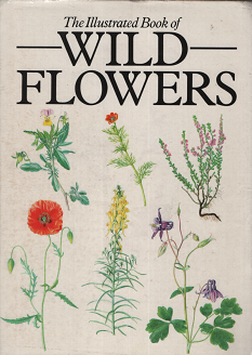 イラストで見る野の花図鑑 Wild Flowers 旅する本屋 古書玉椿 北欧など海外の手芸本 絵本 フォークロア雑貨