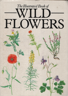 イラストで見る野の花図鑑 Wild Flowers 旅する本屋 古書玉椿 国内外の手芸関連の古本と新刊の専門店