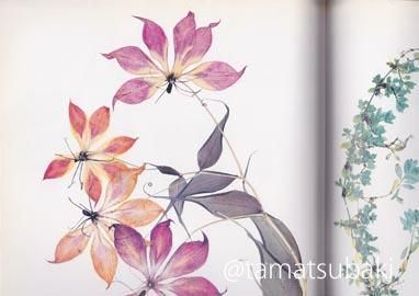 古書古本 Totodo: Nick Knight: Flora（ニック・ナイト）