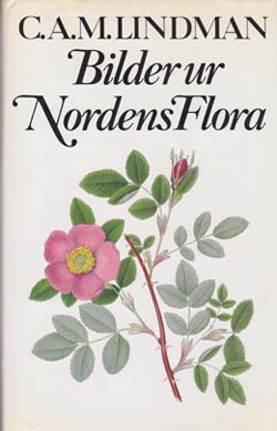 国産】 希少本 洋書 英語 図鑑 北欧の植物事典2 入手困難 Flora 2 