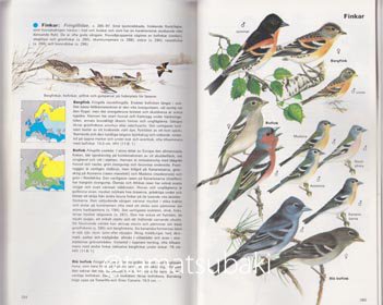 ヨーロッパの鳥図鑑 Faglarna i Europa - 旅する本屋 古書玉椿 国内外 