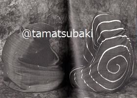 ころも : ヨーガンレールの布 ころも ヨーガンレールの布 KOROMO JURGEN LEHL'S FABRICS | 古