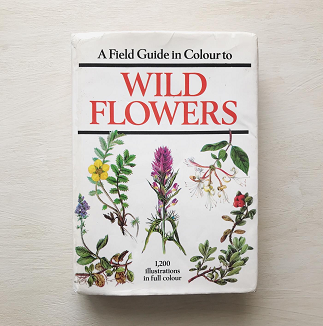 1200種の野の花図鑑 WILD FLOWERS - 旅する本屋 古書玉椿 国内外の手芸 