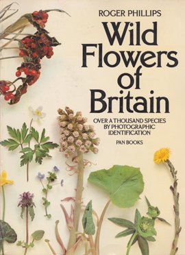 WEB限定】 沢山並んだ植物画が可愛いイギリスのJ.E.サワビーの野生植物 