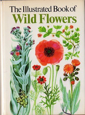 野草のイラスト図鑑 The Illustrated Book of Wild Flowers - 旅する 