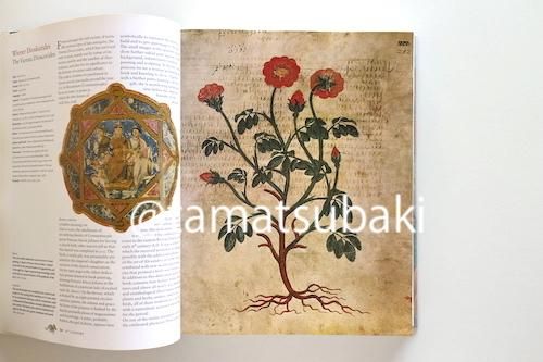 Codices illustres TASCHEN 装飾写本 Codices illustres. The world's most famous illuminated