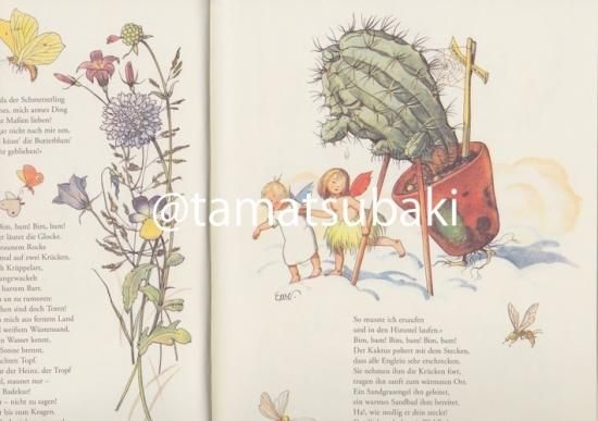 ❣️新品未使用❣️ドイツ語版　Das Erbe der Welt 洋書 植物学教科書 ドイツ語版 洋書 - メルカリ