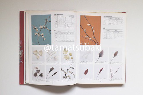 安田早葉子 『そめ花 萬葉の花々百趣』|布の染花の創り方を解説 - 旅 