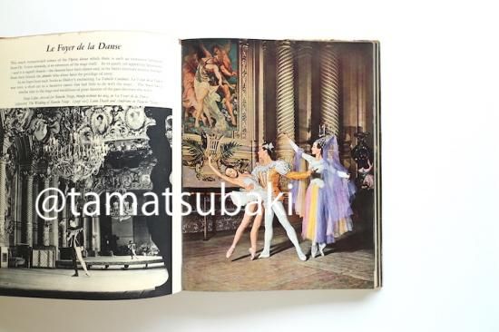 バレエ写真集 | BARON ENCOLE - 旅する本屋 古書玉椿 - 国内外の