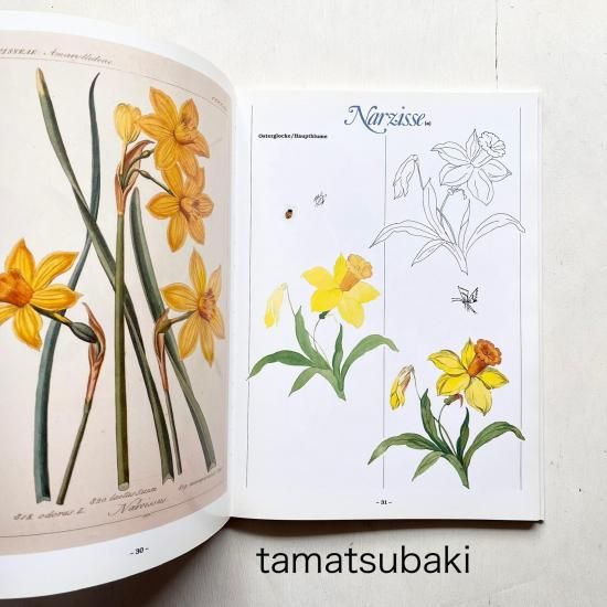 マイセン様式絵付け教本 | Meissener Manier Band 1 - 旅する