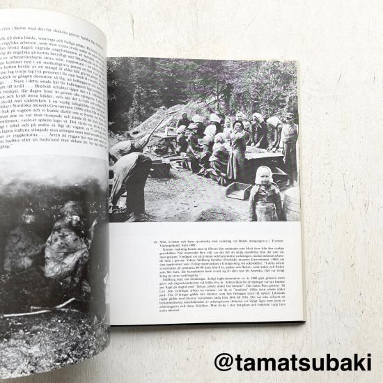 【除籍本】月神降臨／マーゴット・アドラー 国書刊行会 ペイガニズム 品切れ 月神降臨｜国書刊行会