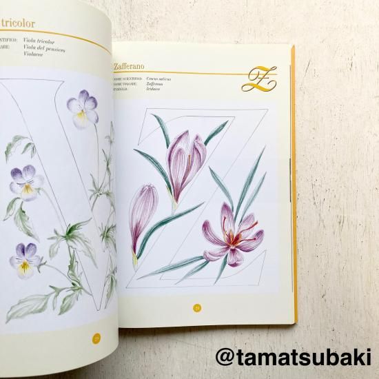 FLOWERS 関連書籍まとめ売り フローラルアルファベット | パターン集 - 旅する本屋 古書玉椿 - 国内