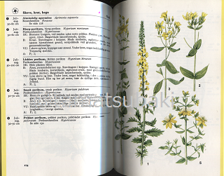 ドイツの植物図鑑 Lademanns Naturforer 旅する本屋 古書玉椿 国内外の手芸関連の古本と新刊の専門店