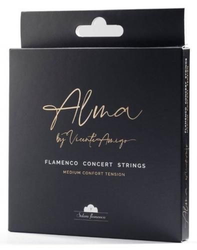 Alma” by Vicente Amigo ( ビセンテ・アミーゴ ) Flamenco Concert Strings