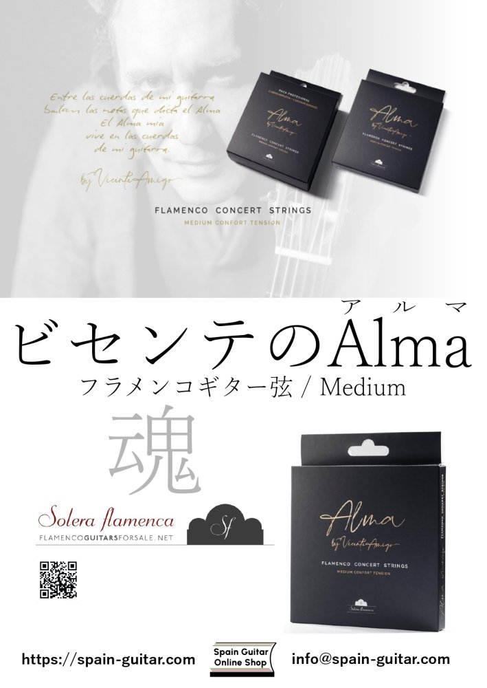 20159円 豊富なギフト ビセンテアミーゴ 楽譜